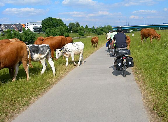 Im Tal der Ruhr