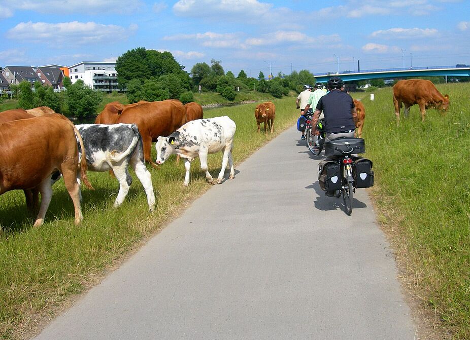 fahrrad tour von unna zum phönixsee