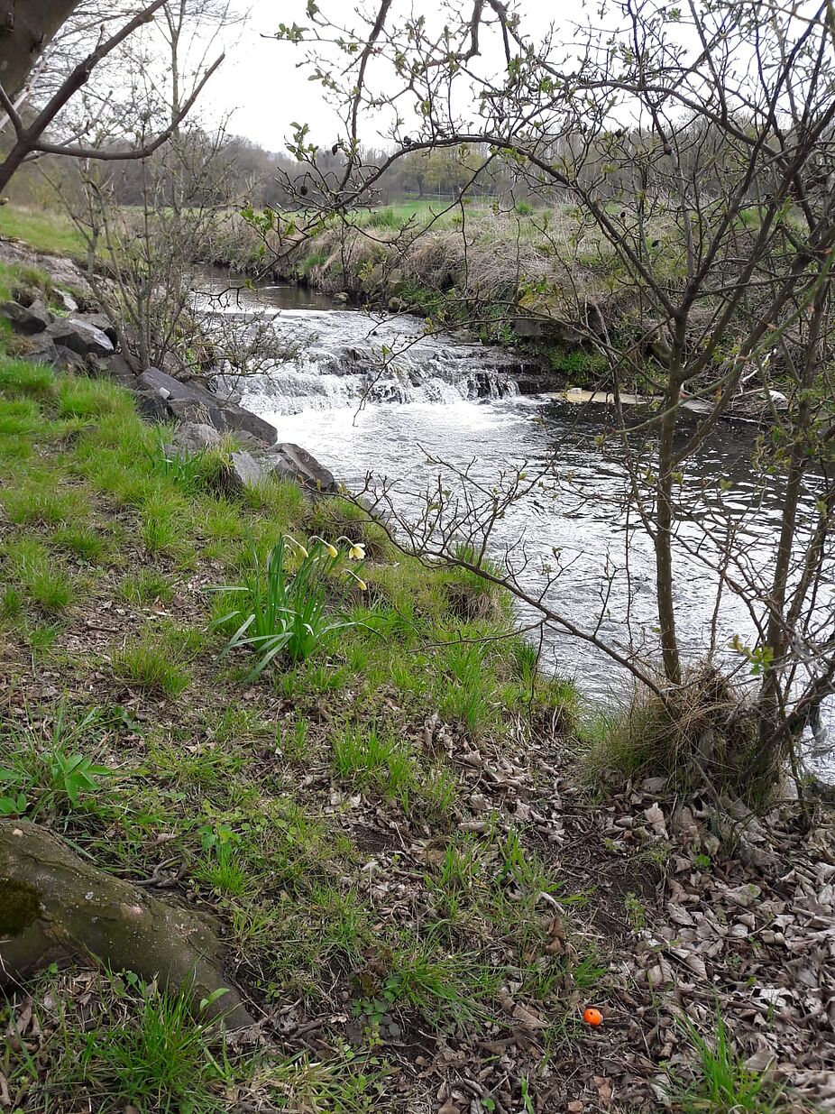 Baarbach bei Sümmern Baarbach bei Sümmern