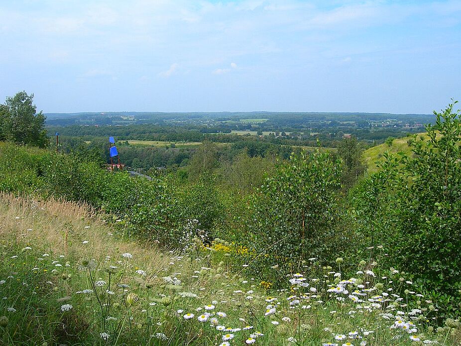 Halde Großes Holz Halde Großes Holz