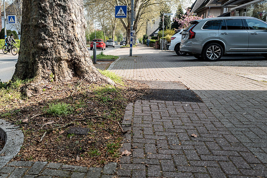 Preußentrasse, Radweg schadhaft Preußenstraße