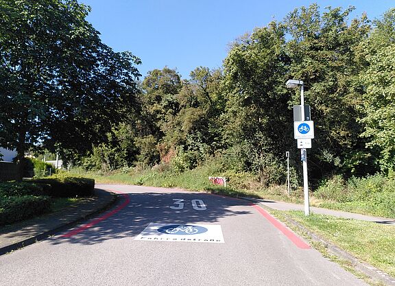 Fahrradstraße_NRW_Bonn_(c) ADFC NRW/Glitz Das Bild zeigt eine Fahrradstraße. Am Wegesrand sind Büsche und Bäume zu sehen. Auf der Straße ist eine große "30" aufgemalt. Auf einem Schild am Straßenrand steht "Fahrradstraße".